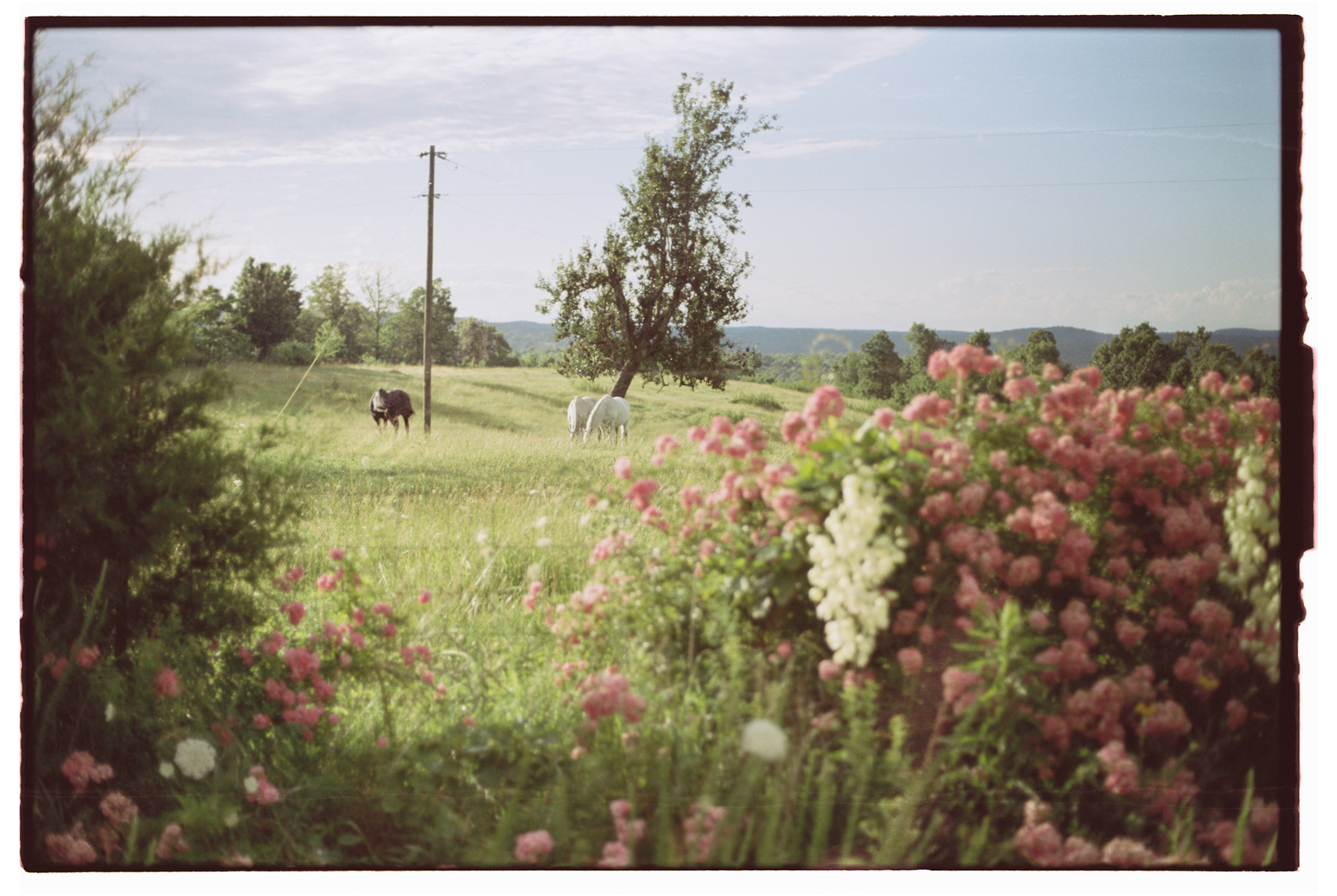 midwest-2